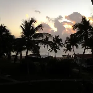 loiseau-du-paradis.comcaribbean.com/